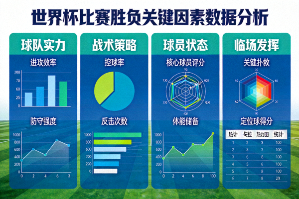 世界杯比赛胜负关键因素数据分析图表
